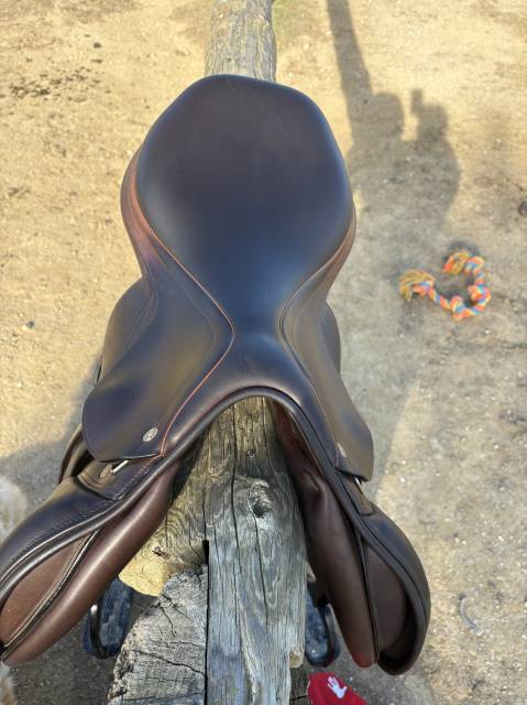 Selle d’obstacle Équipe Expression 17,5´´ 