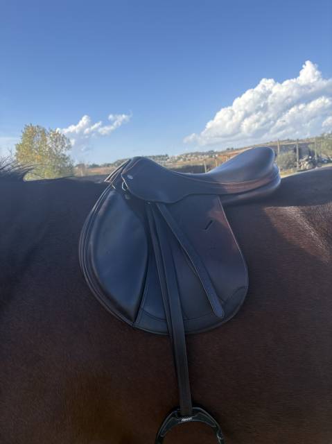 Selle d’obstacle Équipe Expression 17,5´´ 