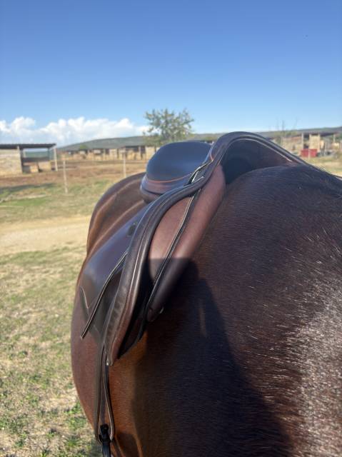 Selle d’obstacle Équipe Expression 17,5´´ 