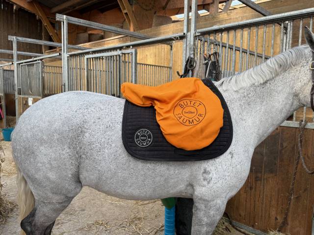 selle butet plate 17 pouces 2021