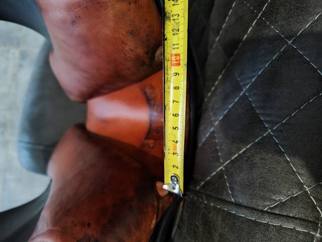 Selle cuir noire Forestier Mixte 17,5 pouces