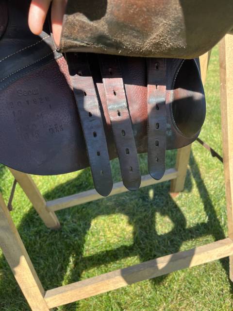 Selle forestier Séoul 