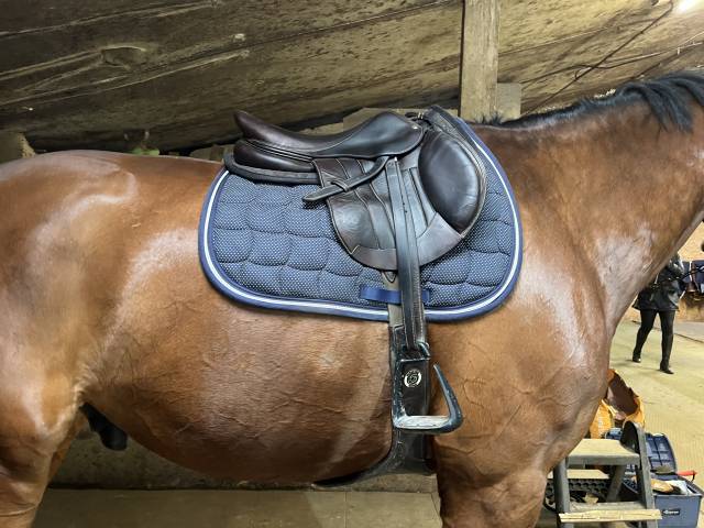 Selle forestier Séoul 