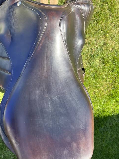 Selle forestier Séoul 