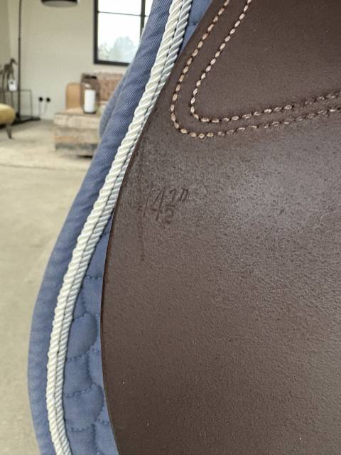 Selle Guy Cantin Évolution taille 14,5