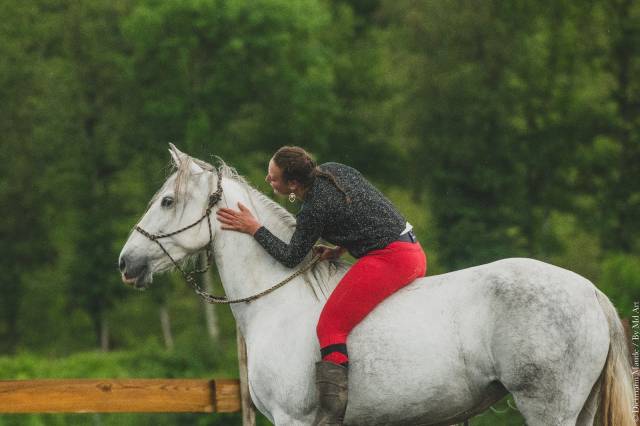 Jument pure race espagnol