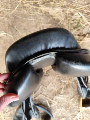 Selle Eric thomas Lugano 