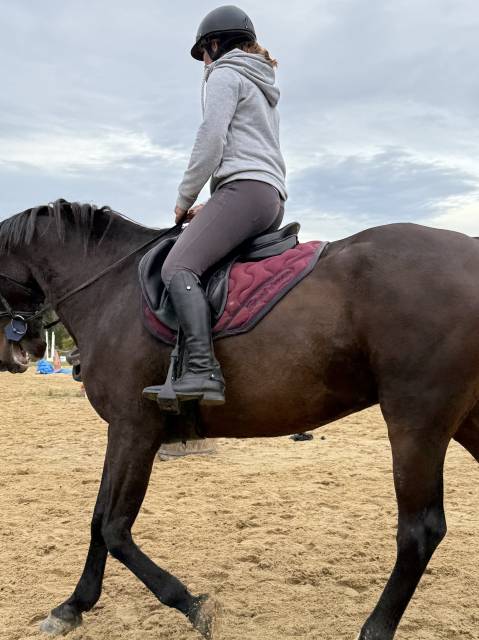 Magnifique selle mixte 