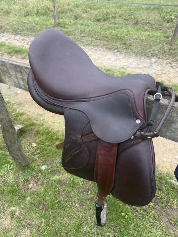 Magnifique selle mixte 