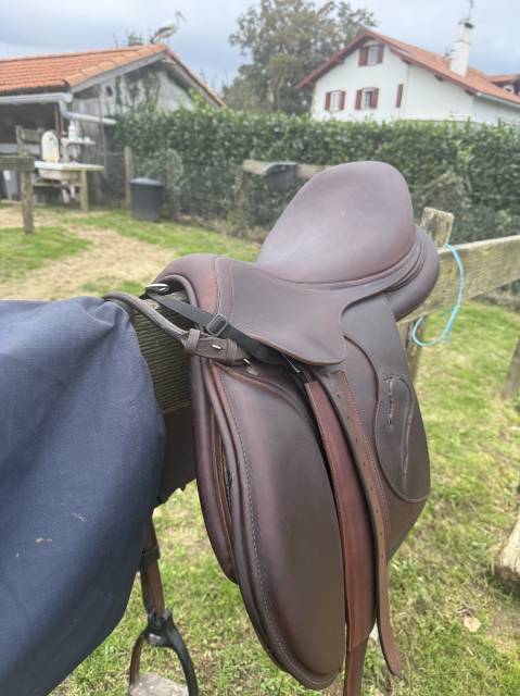 Magnifique selle mixte 