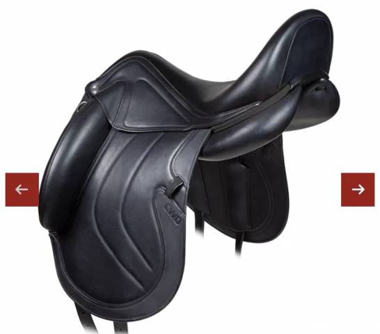 Selle CWD 2025 dressage 