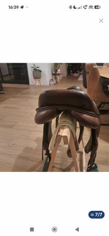 Selle Eric thomas kevin 17, 5 