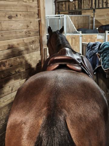 Selle Eric thomas kevin 17, 5 