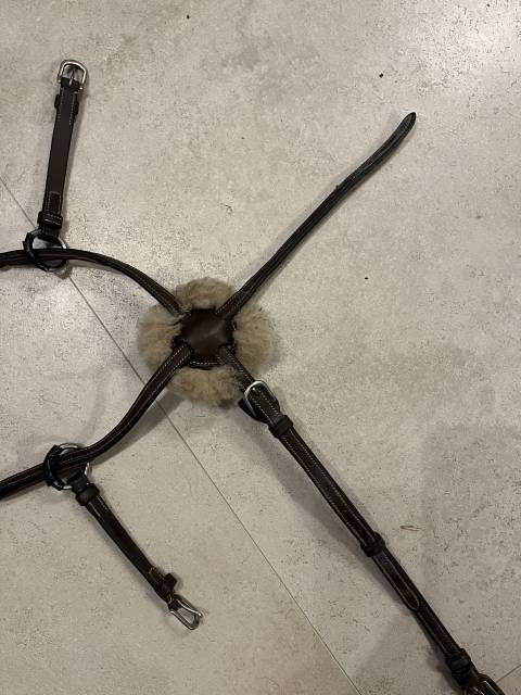 mors alain ventre 130 canon r&eacute;sine, olives cyrium 