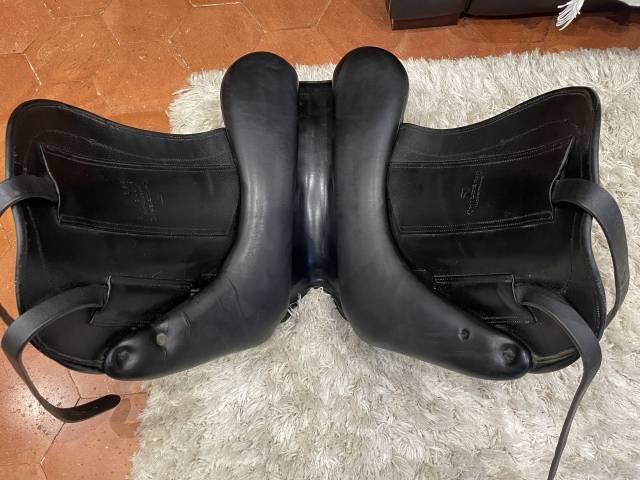 Childeric dressage DHE 17&rsquo;5