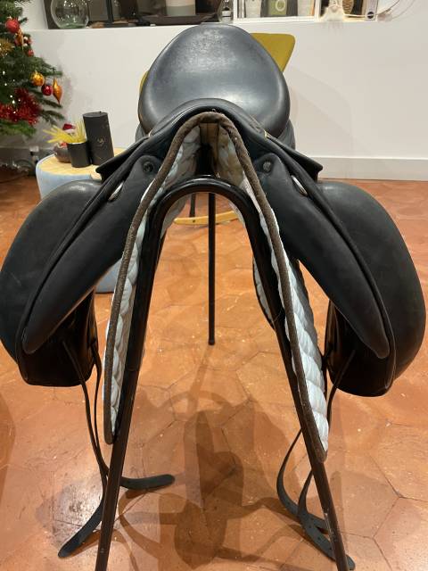 Childeric dressage DHE 17&rsquo;5