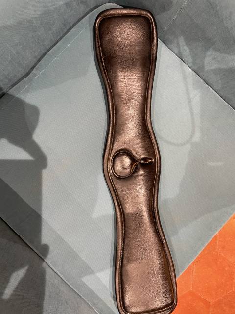 Childeric dressage DHE 17&rsquo;5