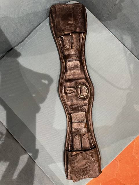 Childeric dressage DHE 17&rsquo;5