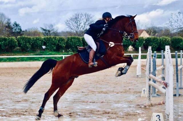 Monitrice/Cavaliere motiv&eacute;e 