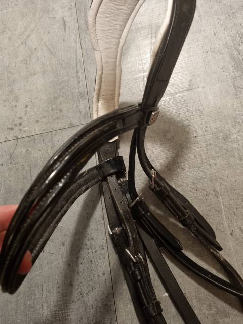 Vend CLARIDGE HOUSE Glossy Vernon Bridon avec Rênes et 