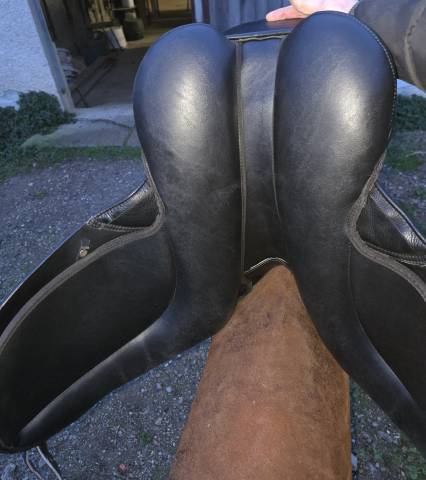 Selle dressage thorowgood T8