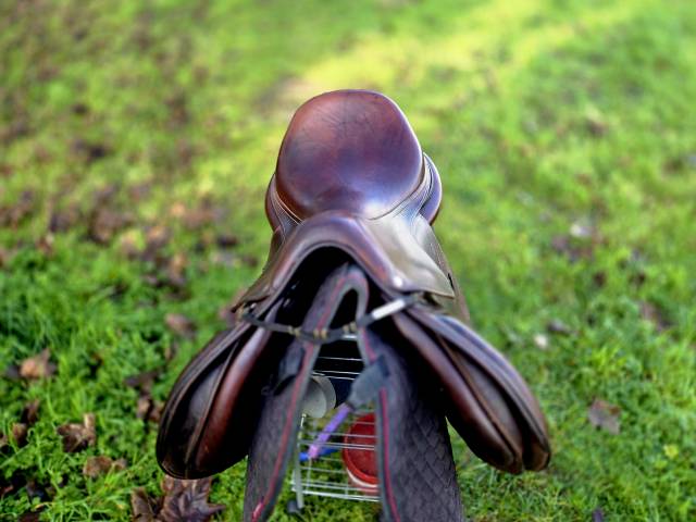 Selle Antares Confort 17.5 de 2018