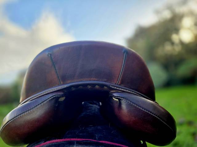 Selle Antares Confort 17.5 de 2018