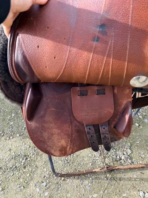 Selle Meyer 2024 - 17/4 si&egrave;ge creux - Marianne 