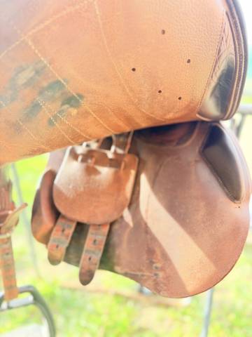 Selle meyer 2020 - semi creuse 17/4 veau 