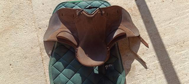 Selle Wintec Pro endurance 17,5