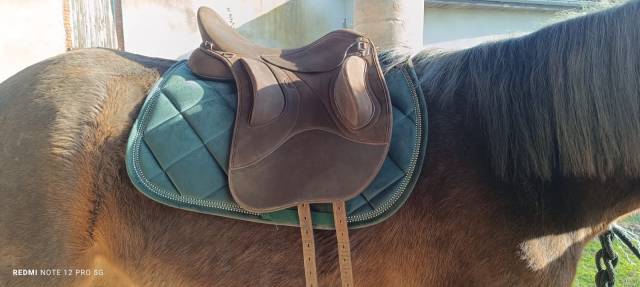 Selle Wintec Pro endurance 17,5