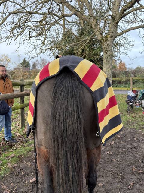 Couvre Reins Horsewear 130