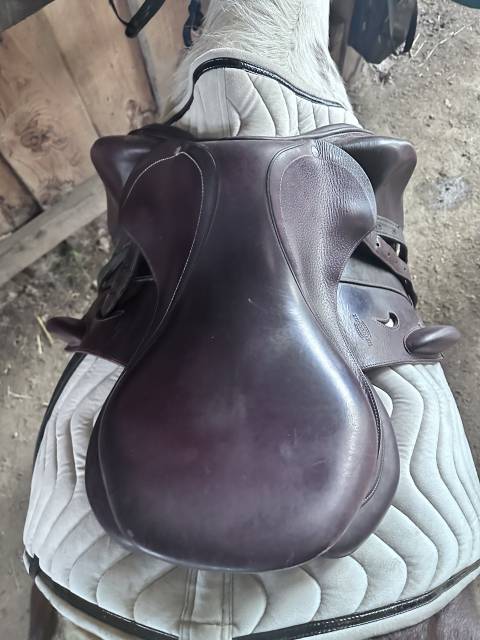 selle Devoucoux modèle Chilberta K kid