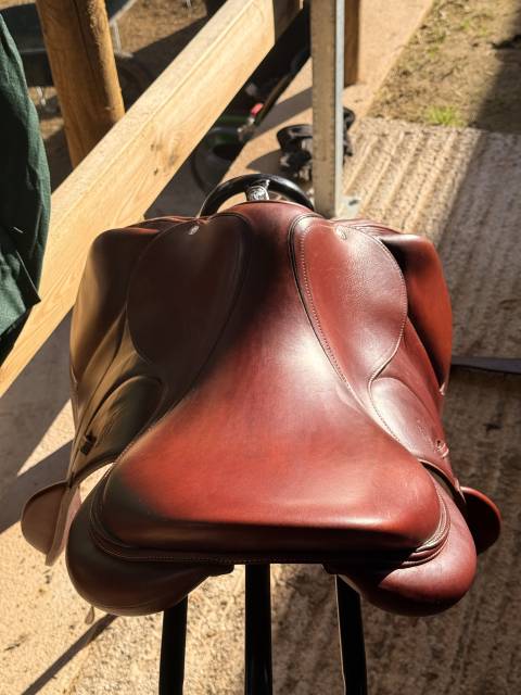 Chiberta 2023 + étrivières + sangle