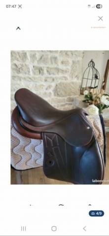 Selle Meyer 17 veau 