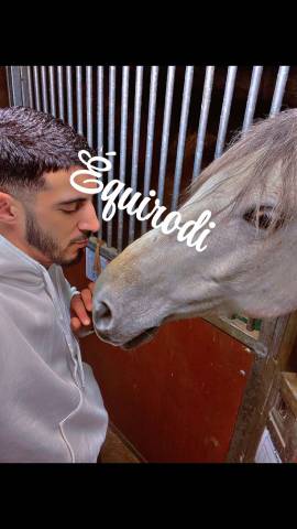 Sofien 37ans Palefrenier pour un poste log&eacute; 