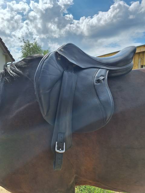 Selle mixte Fleur de Lys 