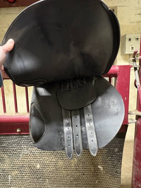 Selle mixte privilège équitation saumur