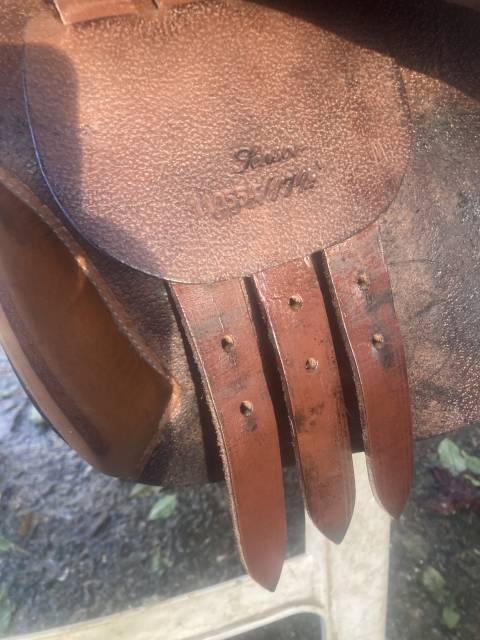 Selle terry’s sensor