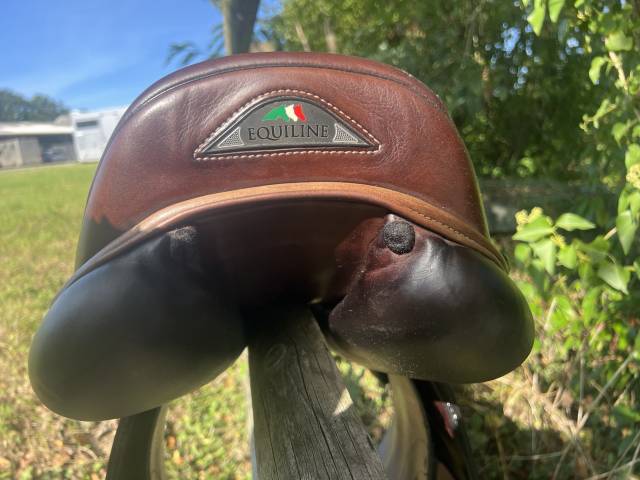 Selle d'obstacle Equiline Nick Skelton