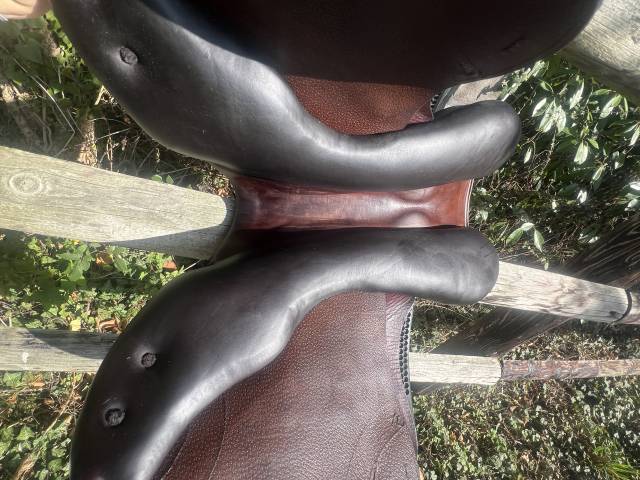 Selle d'obstacle Equiline Nick Skelton