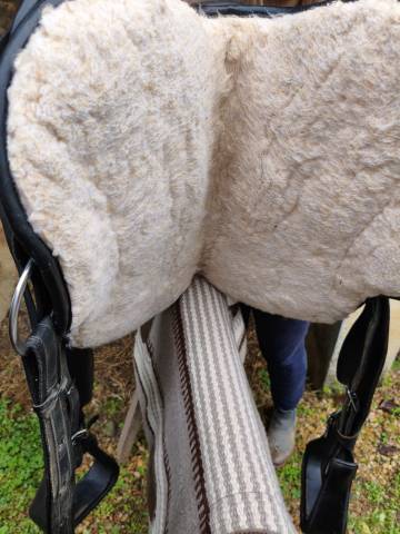 Selle Arizona Barefoot 