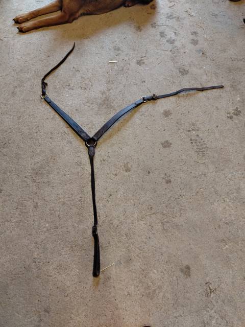 Selle western de randonnée 