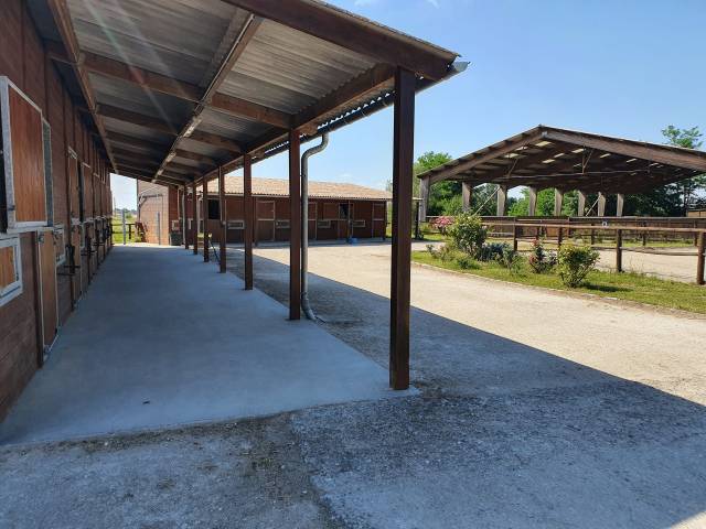 Propri&eacute;t&eacute; &Eacute;questre d&rsquo;Exception sur 2 Hectares