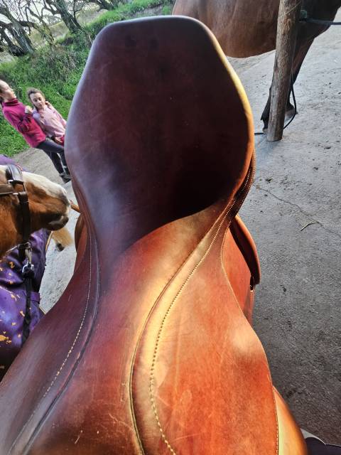 Selle dressage Belloir 17,5'