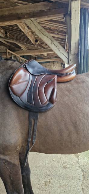 Selle antares monoquartier altair 