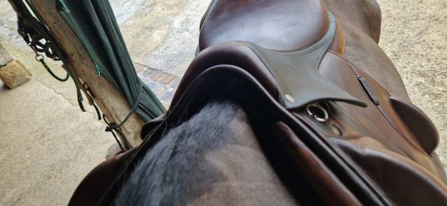 Selle antares monoquartier altair 