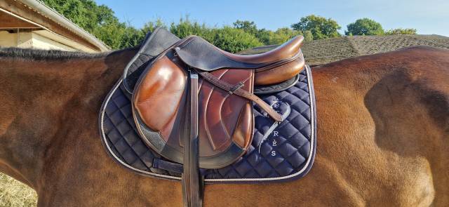 Selle antares monoquartier altair 