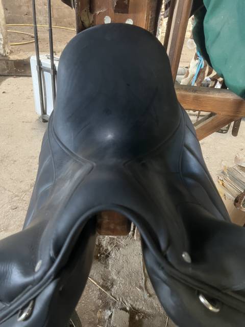 Selle antares concept