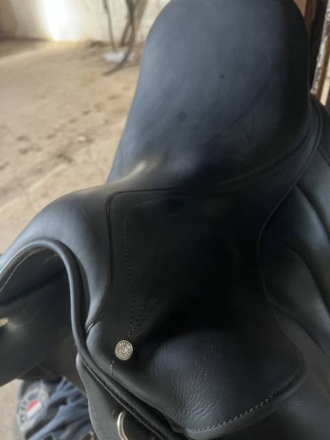 Selle antares concept